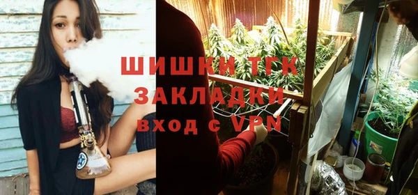 гидра Вуктыл